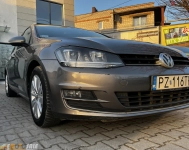Volkswagen Golf VII Variant 1.6 TDI DSG Automat Kombi – 2013 | Wygodny i ekonomiczny