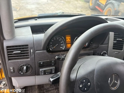 Mercedes-Benz 319 CDI